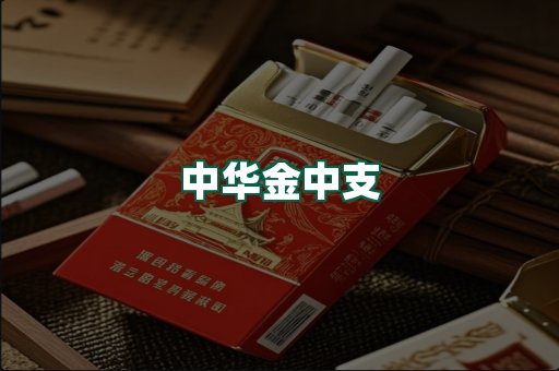 中华金中支